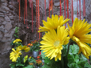 Temps de Flors 2018. Muntatges, instal&middot;lacions i exposicions florals a diversos indrets