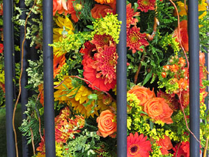 Temps de Flors 2018. Muntatges, instal&middot;lacions i exposicions florals a diversos indrets