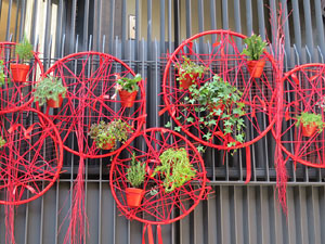 Temps de Flors 2018. Muntatges, instal&middot;lacions i exposicions florals a diversos indrets