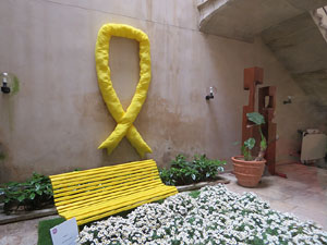 Temps de Flors 2018. Muntatges, instal&middot;lacions i exposicions florals a diversos indrets