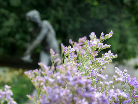 Temps de Flors 2018. Muntatges, instal&middot;lacions i exposicions florals a diversos indrets