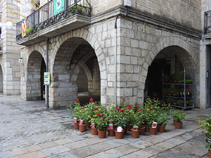 Temps de Flors 2018. Muntatges, instal&middot;lacions i exposicions florals a diversos indrets