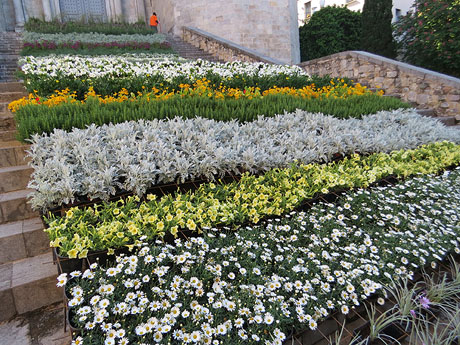 Temps de Flors 2018. Instal&middot;lacions florals a les escales de la bas&iacute;lica de Sant Feliu