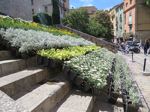 Temps de Flors 2018. Instal&middot;lacions florals a les escales de la bas&iacute;lica de Sant Feliu