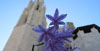 Escales de la basílica de Sant Feliu
