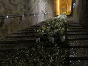 Temps de Flors 2018. Instal&middot;lacions florals a les escales de la bas&iacute;lica de Sant Feliu