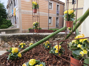 Temps de Flors 2018. Muntatges i instal&middot;lacions florals als diversos espais de l'Esgl&eacute;sia dels Dolors