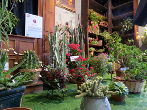 Temps de Flors 2018. Muntatges i instal&middot;lacions florals als diversos espais de l'Esgl&eacute;sia dels Dolors
