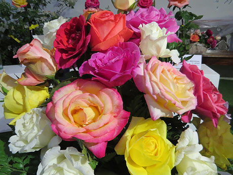 Temps de Flors 2018. Muntatges i instal&middot;lacions florals als diversos espais de l'Esgl&eacute;sia dels Dolors