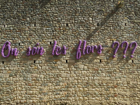 Temps de Flors 2018. Instal&middot;lacions i muntatges florals als diversos espais del carrer Ferran el cat&ograve;lic