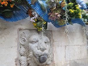 Temps de Flors 2018. Muntatges i instal&middot;lacions florals a les fonts urbanes