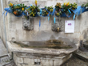 Temps de Flors 2018. Muntatges i instal&middot;lacions florals a les fonts urbanes