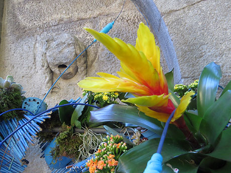 Temps de Flors 2018. Muntatges i instal&middot;lacions florals a les fonts urbanes