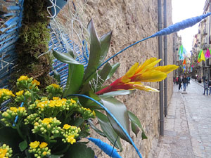Temps de Flors 2018. Muntatges i instal&middot;lacions florals a les fonts urbanes