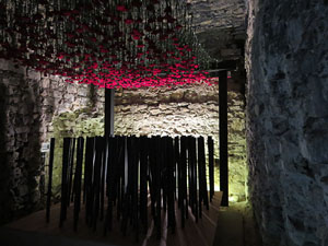 Temps de Flors 2018. Instal&middot;laci&oacute; floral El cor menjat al soterrani II de la Torre Gironella