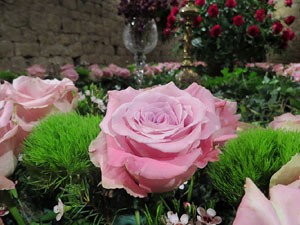 Temps de Flors 2018. Instal&middot;laci&oacute; floral El cor menjat al soterrani II de la Torre Gironella