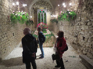 Temps de Flors 2018. Instal&middot;laci&oacute; floral El cor menjat al soterrani II de la Torre Gironella