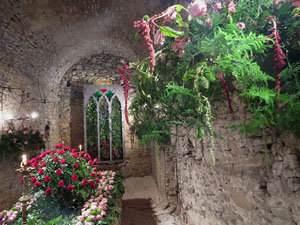 Temps de Flors 2018. Instal&middot;laci&oacute; floral El cor menjat al soterrani II de la Torre Gironella