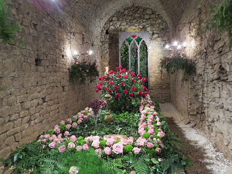 Temps de Flors 2018. Instal&middot;laci&oacute; floral El cor menjat al soterrani II de la Torre Gironella