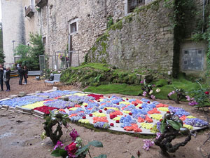 Temps de Flors 2018. Muntatges florals als Jardins del Campaner