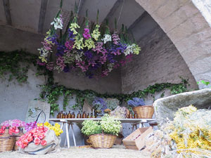 Temps de Flors 2018. Muntatges florals als Jardins del Campaner