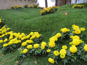 Temps de Flors 2018. Muntatges florals als Jardins del Campaner