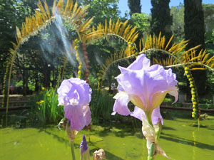 Temps de Flors 2018. Instal&middot;lacions i muntatges als Jardins del doctor Figueras
