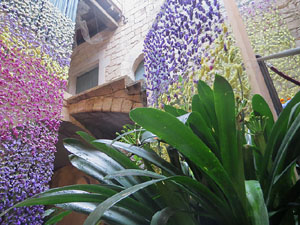 Temps de Flors 2018. Muntatges florals als diversos espais de la Casa Lle&oacute; Avinay, al Call jueu