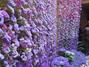 Temps de Flors 2018. Muntatges florals als diversos espais de la Casa Lle&oacute; Avinay, al Call jueu