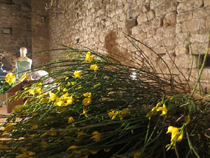 Temps de Flors 2018. Making of de l'esdeveniment
