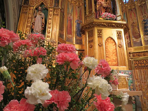 Temps de Flors 2018. Muntatges i instal&middot;lacions florals al Centre geri&agrave;tric Maria Gay