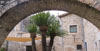 Museu d'Art. Els jardins