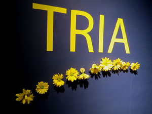 Temps de Flors 2018. Instal&middot;laci&oacute; a l'assecador del Museu d'Hist&ograve;ria