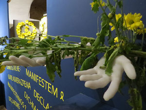 Temps de Flors 2018. Instal&middot;laci&oacute; a l'assecador del Museu d'Hist&ograve;ria