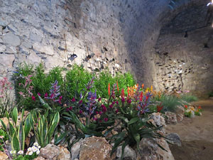 Temps de Flors 2018. Instal&middot;lacions als espais del Museu d'Hist&ograve;ria La Carbonera i la Cisterna