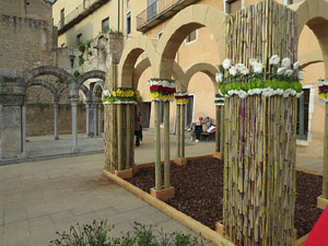 Temps de Flors 2018. Instal&middot;laci&oacute; floral a la terrassa del Museu d'Hist&ograve;ria