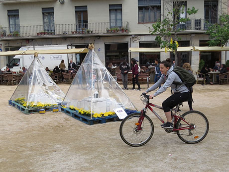 Temps de Flors 2018. Muntatges florals al espais de la pla&ccedil;a de Santa Susanna del Mercadal