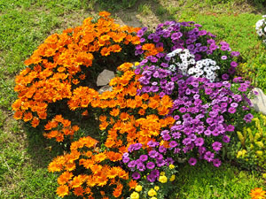 Temps de Flors 2018. Muntatges i instal&middot;lacions florals al Mirador del carrer de les Dones