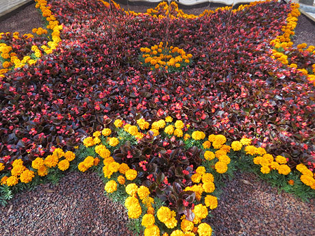 Temps de Flors 2018. Decoraci&oacute; floral del Pati de les Magn&ograve;lies, a la Seu del Govern de la Generalitat de Catalunya a Girona