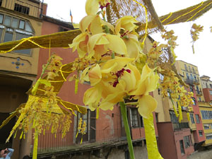 Temps de Flors 2018. Instal&middot;laci&oacute; Cam&iacute; a la llibertat al pont d'en G&oacute;mez