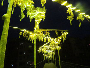 Temps de Flors 2018. Instal&middot;laci&oacute; Cam&iacute; a la llibertat al pont d'en G&oacute;mez
