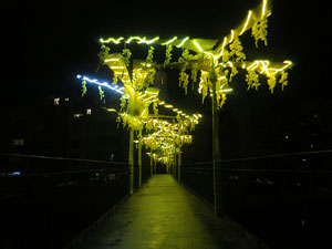 Temps de Flors 2018. Instal&middot;laci&oacute; Cam&iacute; a la llibertat al pont d'en G&oacute;mez