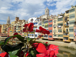 Temps de Flors 2018. Instal&middot;laci&oacute; Tempus fugit al carrer C&uacute;ndaro