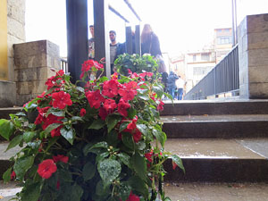 Temps de Flors 2018. Instal&middot;laci&oacute; Tempus fugit al carrer C&uacute;ndaro