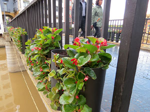 Temps de Flors 2018. Instal&middot;laci&oacute; Tempus fugit al carrer C&uacute;ndaro