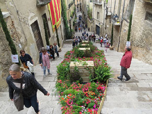 Temps de Flors 2018. Instal&middot;lacions i muntatges a la Pujada de Sant Dom&egrave;nec