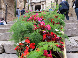 Temps de Flors 2018. Instal&middot;lacions i muntatges a la Pujada de Sant Dom&egrave;nec