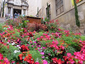 Temps de Flors 2018. Instal&middot;lacions i muntatges a la Pujada de Sant Dom&egrave;nec