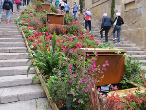 Temps de Flors 2018. Instal&middot;lacions i muntatges a la Pujada de Sant Dom&egrave;nec