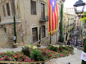 Temps de Flors 2018. Instal&middot;lacions i muntatges a la Pujada de Sant Dom&egrave;nec